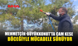 MEHMETÇİK- BÜYÜKKONUT'TA ÇAM KESE BÖCEĞİYLE MÜCADELE SÜRÜYOR