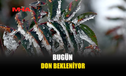 BUGÜN DON BEKLENİYOR