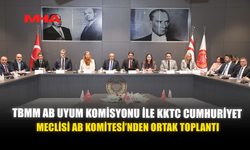 TBMM AB UYUM KOMİSYONU İLE KKTC CUMHURİYET MECLİSİ AB KOMİTESİ’NDEN ORTAK TOPLANTI