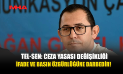 TEL-SEN: CEZA YASASI DEĞİŞİKLİĞİ İFADE VE BASIN ÖZGÜRLÜĞÜNE DARBEDİR!