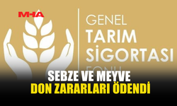 SEBZE VE MEYVE DON ZARARLARI ÖDENDİ