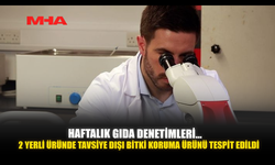 HAFTALIK GIDA DENETİMLERİ… 2 YERLİ ÜRÜNDE TAVSİYE DIŞI BİTKİ KORUMA ÜRÜNÜ TESPİT EDİLDİ