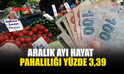ARALIK AYI HAYAT PAHALILIĞI YÜZDE 3,39