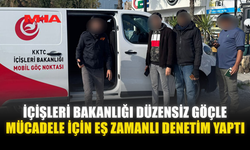 İÇİŞLERİ BAKANLIĞI DÜZENSİZ GÖÇLE MÜCADELE İÇİN EŞ ZAMANLI DENETİM YAPTI