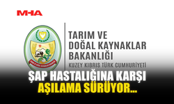 ŞAP HASTALIĞINA KARŞI AŞILAMA SÜRÜYOR…