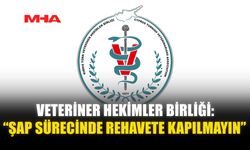 VETERİNER HEKİMLER BİRLİĞİ: “ŞAP SÜRECİNDE REHAVETE KAPILMAYIN”