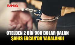OTELDEN 2 BİN 900 DOLAR ÇALAN ŞAHIS ERCAN'DA YAKALANDI