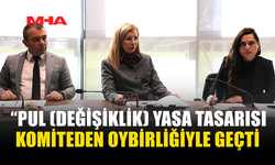 “PUL (DEĞİŞİKLİK) YASA TASARISI KOMİTEDEN OYBİRLİĞİYLE GEÇTİ