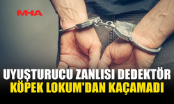 UYUŞTURUCU ZANLISI DEDEKTÖR KÖPEK LOKUM'DAN KAÇAMADI