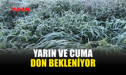 YARIN VE CUMA DON BEKLENİYOR...