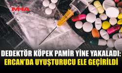 DEDEKTÖR KÖPEK PAMİR YİNE YAKALADI: ERCAN’DA UY*ŞTURUCU ELE GEÇİRİLDİ