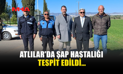 ATLILAR'DA ŞAP HASTALIĞI TESPİT EDİLDİ…