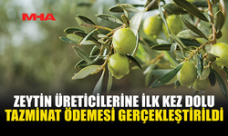ZEYTİN ÜRETİCİLERİNE İLK KEZ DOLU TAZMİNAT ÖDEMESİ GERÇEKLEŞTİRİLDİ
