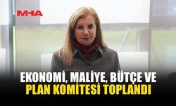EKONOMİ, MALİYE, BÜTÇE VE PLAN KOMİTESİ TOPLANDI