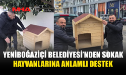 YENİBOĞAZİÇİ BELEDİYESİ’NDEN SOKAK HAYVANLARINA ANLAMLI DESTEK