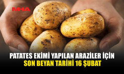 PATATES EKİMİ YAPILAN ARAZİLER İÇİN SON BEYAN TARİHİ 16 ŞUBAT