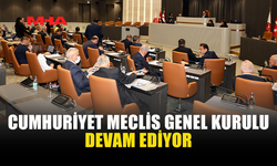 CUMHURİYET MECLİS GENEL KURULU DEVAM EDİYOR
