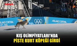 KIŞ OLİMPİYATLARI’NDA PİSTE KURT KÖPEĞİ GİRDİ