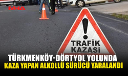 TÜRKMENKÖY-DÖRTYOL YOLUNDA KAZA YAPAN ALKOLLÜ SÜRÜCÜ YARALANDI
