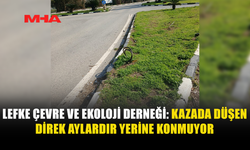 LEFKE ÇEVRE VE EKOLOJİ DERNEĞİ: “KAZADA DÜŞEN DİREK AYLARDIR YERİNE KONMUYOR”