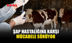 ŞAP HASTALIĞINA KARŞI MÜCADELE SÜRÜYOR