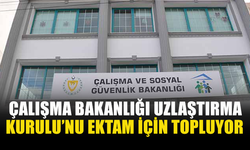 ÇALIŞMA BAKANLIĞI UZLAŞTIRMA KURULU’NU EKTAM İÇİN TOPLUYOR