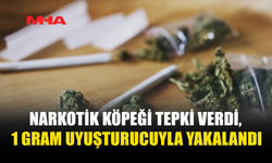 NARKOTİK KÖPEĞİ TEPKİ VERDİ, 1 GRAM UY*ŞTURUCUYLA YAKALANDI