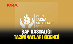 ŞAP HASTALIĞI TAZMİNATLARI ÖDENDİ