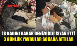 İŞ KADINI BAHAR DENİZOĞLU İSYAN ETTİ