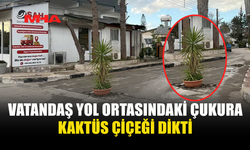 VATANDAŞ YOL ORTASINDAKİ ÇUKURA KAKTÜS ÇİÇEĞİ DİKTİ