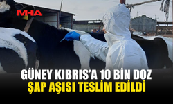 GÜNEY KIBRIS’A ŞAP AŞILARI TESLİM EDİLDİ
