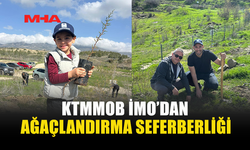 İNŞAAT MÜHENDİSLERİ ODASI AĞAÇ DİKME ETKİNLİĞİ DÜZENLEDİ