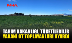 TARIM BAKANLIĞI'NDAN, TÜKETİLEBİLİR YABANİ OT TOPLAYANLARA UYARI