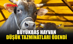 HAYVANCILIKTA ZORUNLU SİGORTA TAZMİNATLARI YATIRILDI