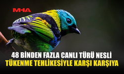 48 BİNDEN FAZLA CANLI TÜRÜ NESLİ TÜKENME TEHLİKESİYLE KARŞI KARŞIYA