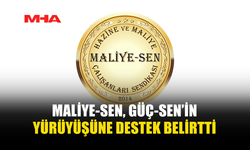 MALİYE-SEN'DEN, GÜÇ-SEN’İN YÜRÜYÜŞÜNE DESTEK