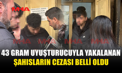 TURİST ZANLI CEZAEVİNE GÖNDERİLDİ, ÖĞRENCİ TEMİNATA BAĞLANDI