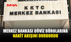 NAKDİ DÖVİZ ERİŞİMİ SADECE BANKA HESAPLARIYLA SAĞLANIYOR