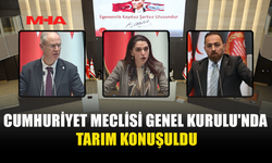 MECLİSTE ÜRETİM VE KOOPERATİF SORUNLARI GÜNDEME TAŞINDI