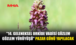 ORKİDE VADİSİ GÖZLEM YÜRÜYÜŞÜ 15 MART’TA