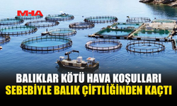 LİOPETRİ’DE BALIK ÇİFTLİĞİ ZARAR GÖRDÜ