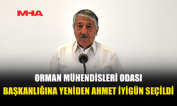 ORMAN MÜHENDİSLERİ ODASI’NDA İYİGÜN YENİDEN BAŞKAN