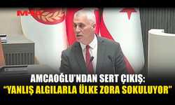AMCAOĞLU: “HİÇBİR KRİZ YOKKEN PANİK YARATILIYOR”