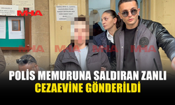 RESTORANDA BAŞLAYAN KAVGA KARAKOLDA BÜYÜDÜ: POLİSİ DARP ETTİ