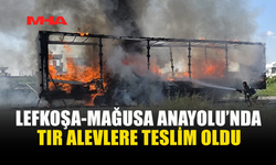 TIR KÜLE DÖNDÜ! BU YOLU KULLANACAKLAR OLANLAR DİKKAT!