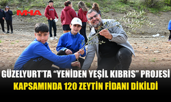 GÜZELYURT’TA 120 ZEYTİN FİDANI DİKİLDİ