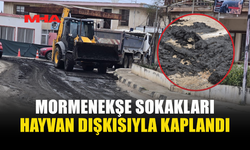 MORMENEKŞE'NİN YOLLARI DIŞKIYLA DOLDU