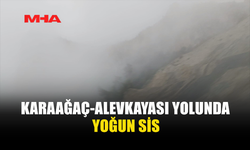KARAAĞAÇ-ALEVKAYASI YOLUNDA SİS UYARISI