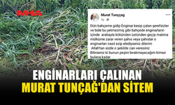 ENGİNAR BAHÇESİNE GİREN HIRSIZLAR BAHÇEYİ TAHRİP ETTİ