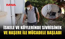 İSKELE VE KÖYLERİNDE SİVRİSİNEK VE HAŞEREYE KARŞI İLAÇLAMA SEFERBERLİĞİ